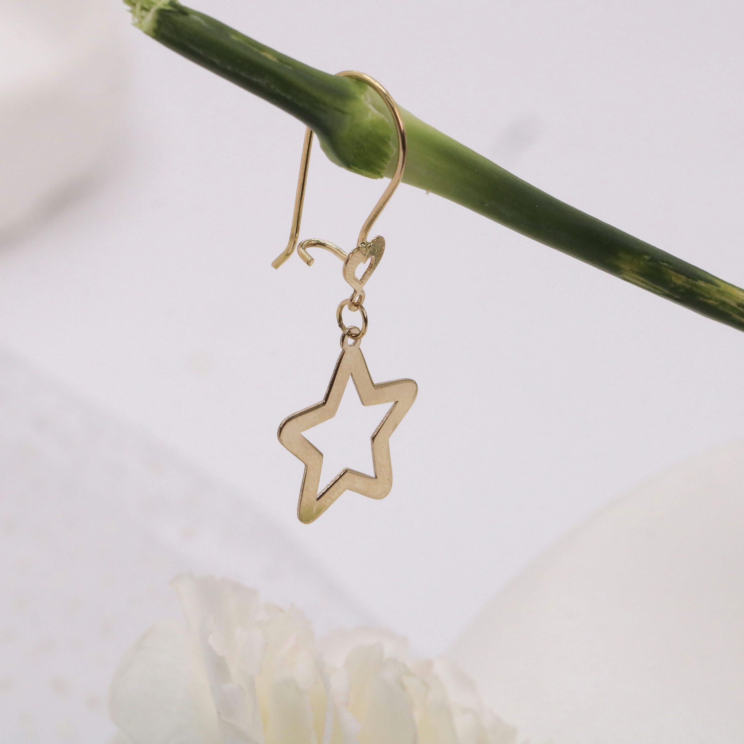 IMG_20250419_145245_668